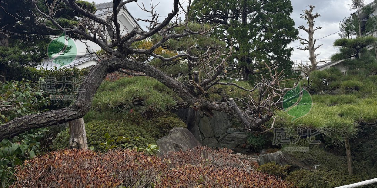 南河内郡（太子町・河南町・千早赤阪村）で庭木の剪定・伐採・草刈りなら庭ナビへ