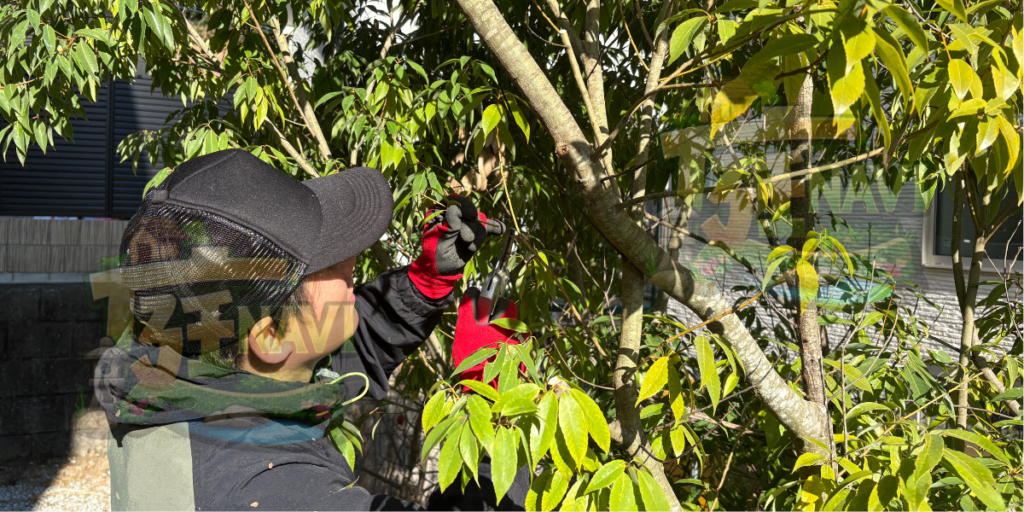 堺市美原区で庭木の剪定・伐採・草刈りなら庭ナビへ