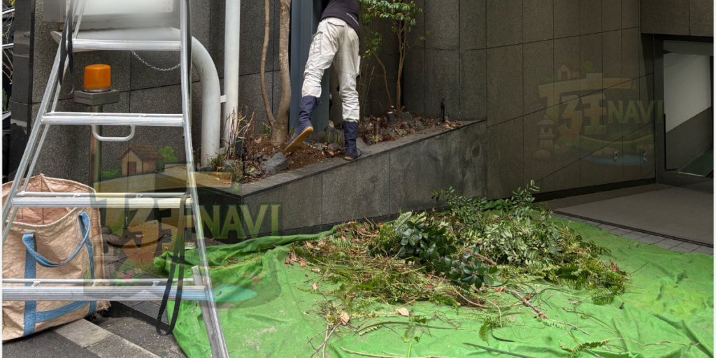 大阪市中央区でビル・店舗の資産価値を高める植栽管理・植木整備なら庭ナビへ