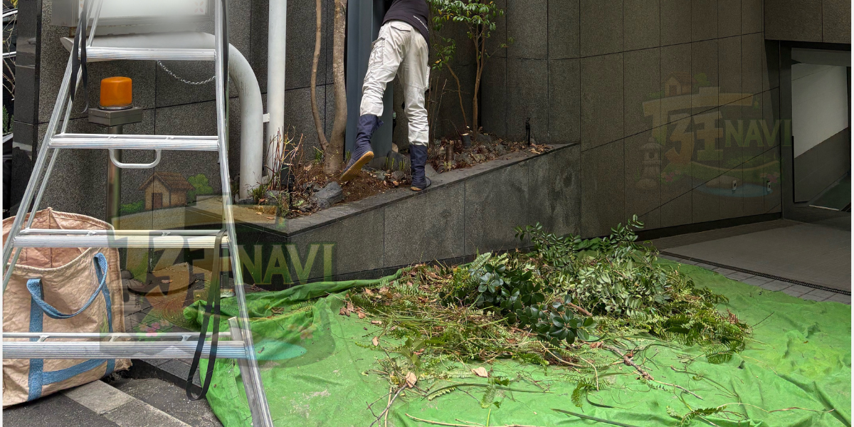大阪市中央区でビル・店舗の資産価値を高める植栽管理・植木整備なら庭ナビへ