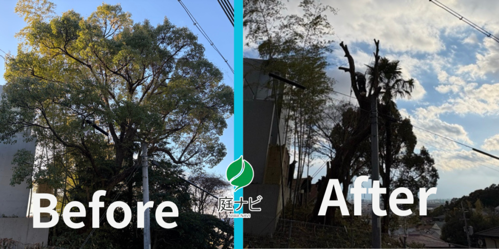電線付近で木の伐採が困難な状況でも空師なら安全に伐採することができる