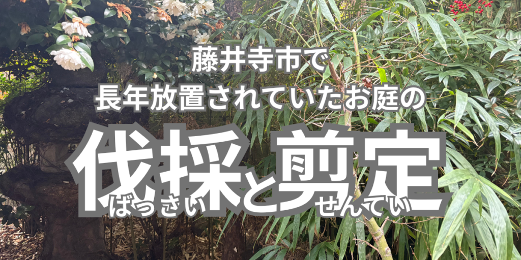 藤井寺市で長年放置されていたお庭の剪定と伐採