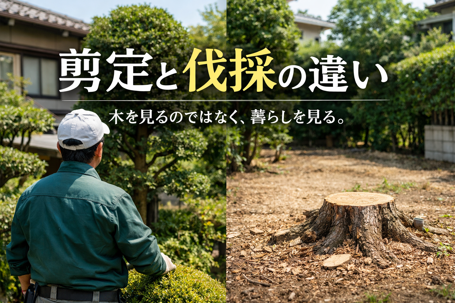 剪定と伐採の違いについてできるだけわかりやすくまとめた記事のアイキャッチ画像です