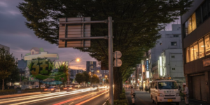 国道に飛び出て標識を隠してしまった雑木