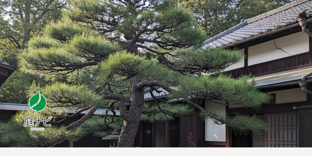 剪定業者を選ぶ方法を説明しています