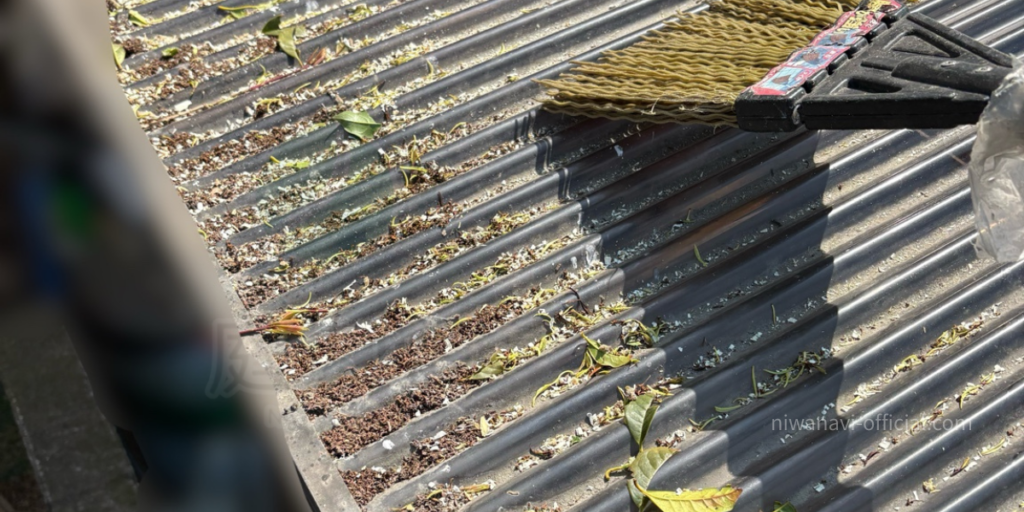 カーポートの上に溜まった金木犀の花粉やゴミの写真