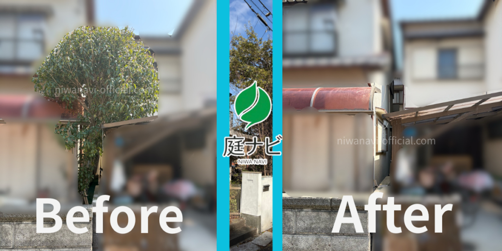 カーポートに覆いかぶさった金木犀の伐採前後の写真