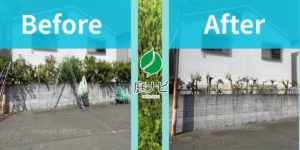 店舗の植栽管理ビフォーアフターの写真