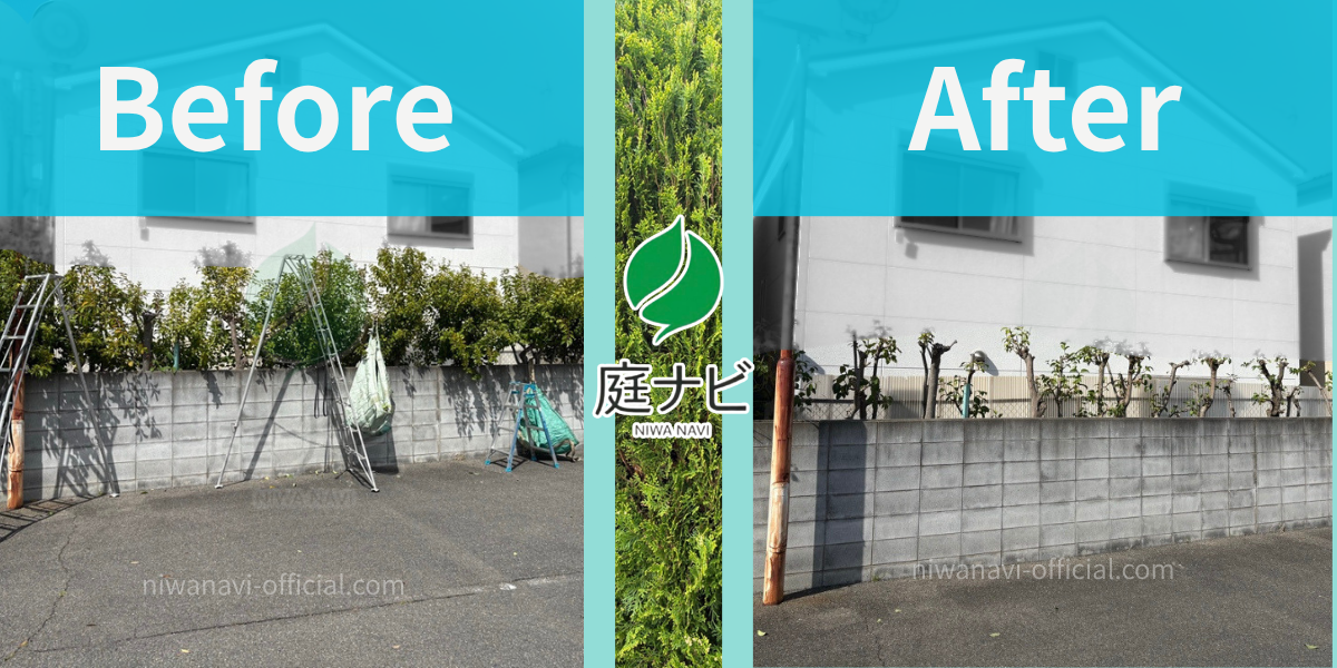 店舗の植栽管理ビフォーアフターの写真