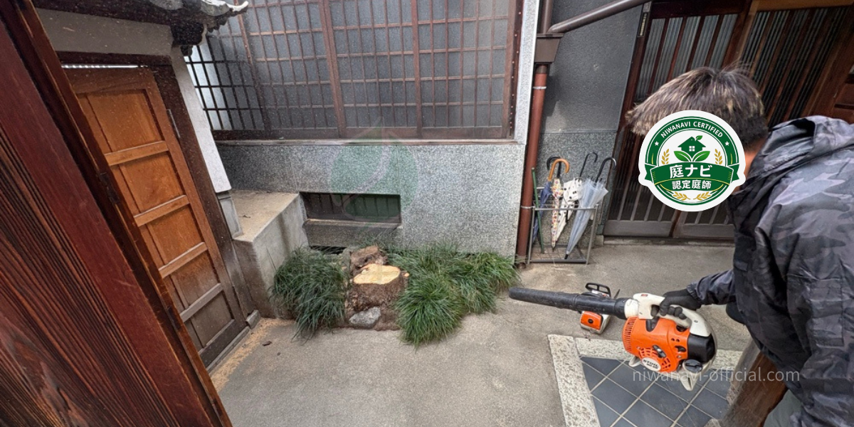 樹木を伐採したあとでブロワーで掃除している様子