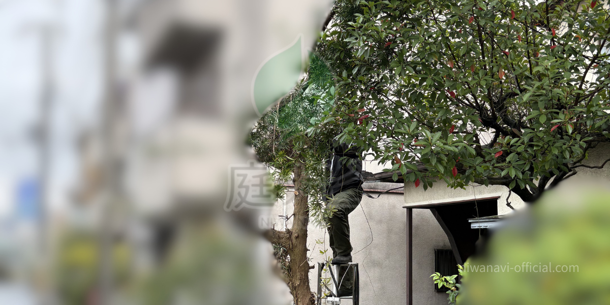 庭じまいをしている作業員の写真