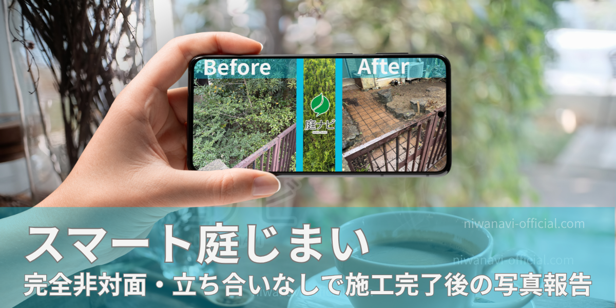 リモートで庭じまいのビフォーアフターの写真を見ているひと